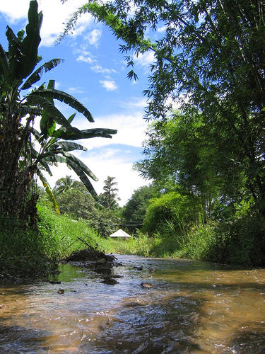 Chiang Mai Pai