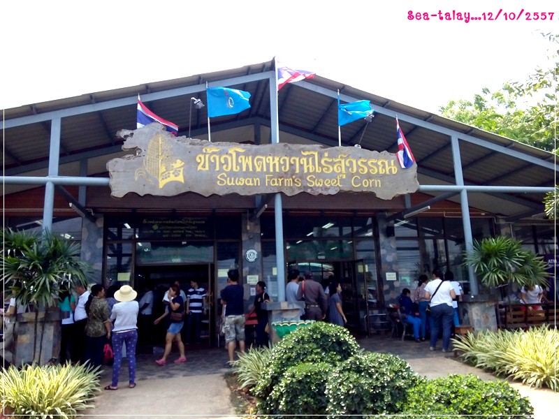 ไร่องุ่น บี พี วัลเลย์