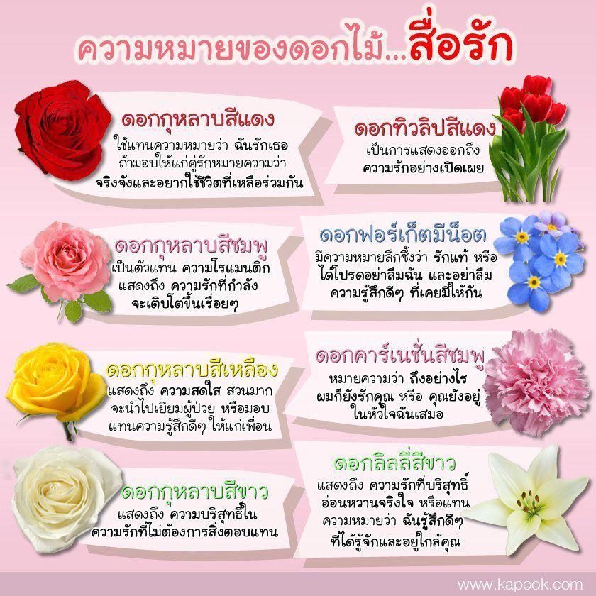 My Image 70