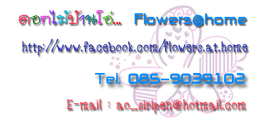 https://www.facebook.com/Flowers.at.home