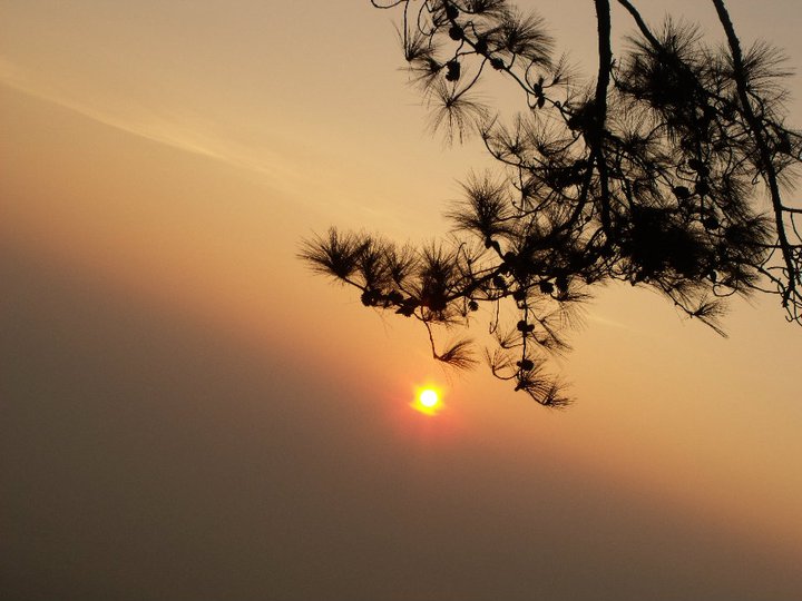 รูปภาพ
