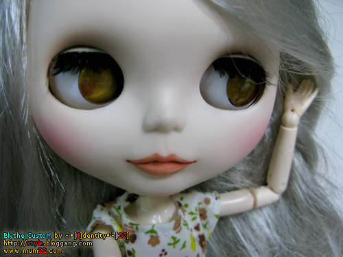 Bloggangcom' I dentity' 22 Custom Blythe Cappuccino Chat vol 