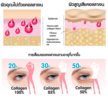 คอลลาเจน