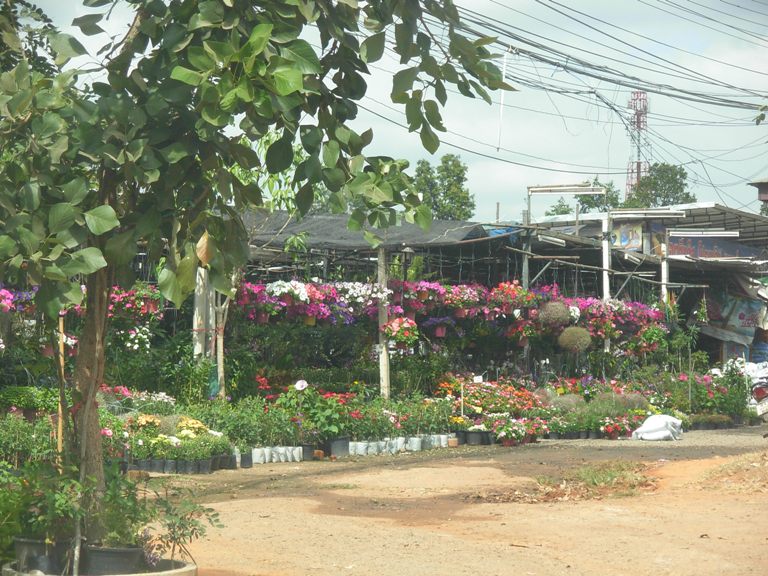 korat_around