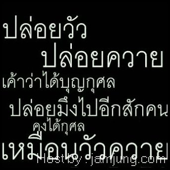 คําคมกวนๆ สถานะกวนๆ รูปภาพกวนๆ
