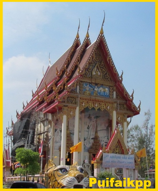 My Image 13