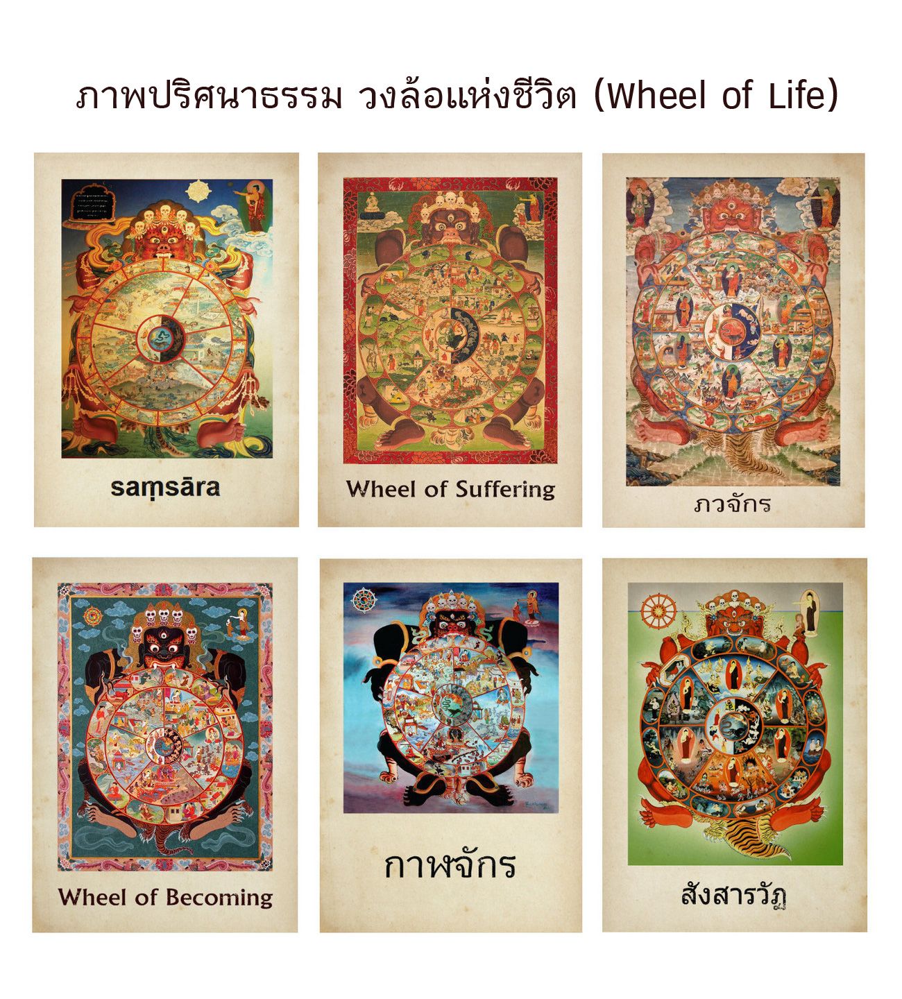 My Image 24