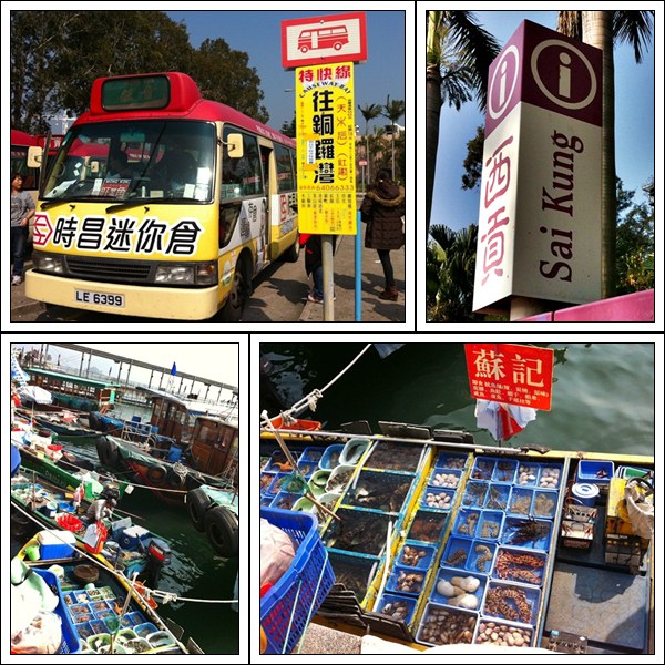 My Image 12