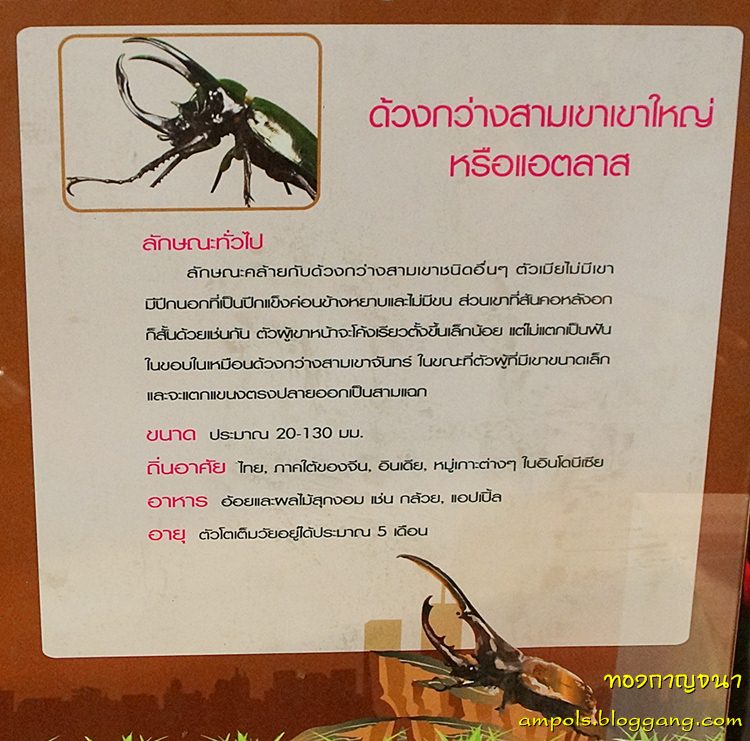 My Image 23