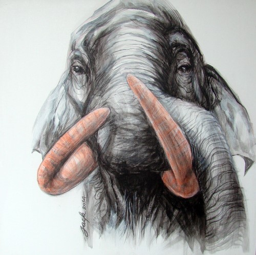 My Image 51