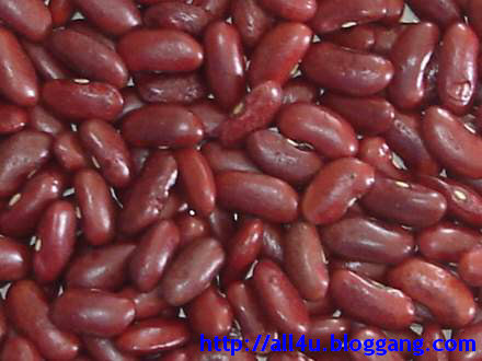 ถั่วแดง RED BEANS