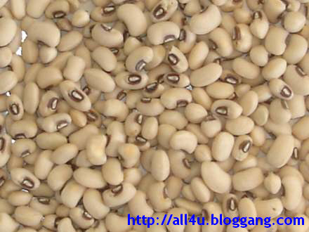 Ǣ WHITE BEANS