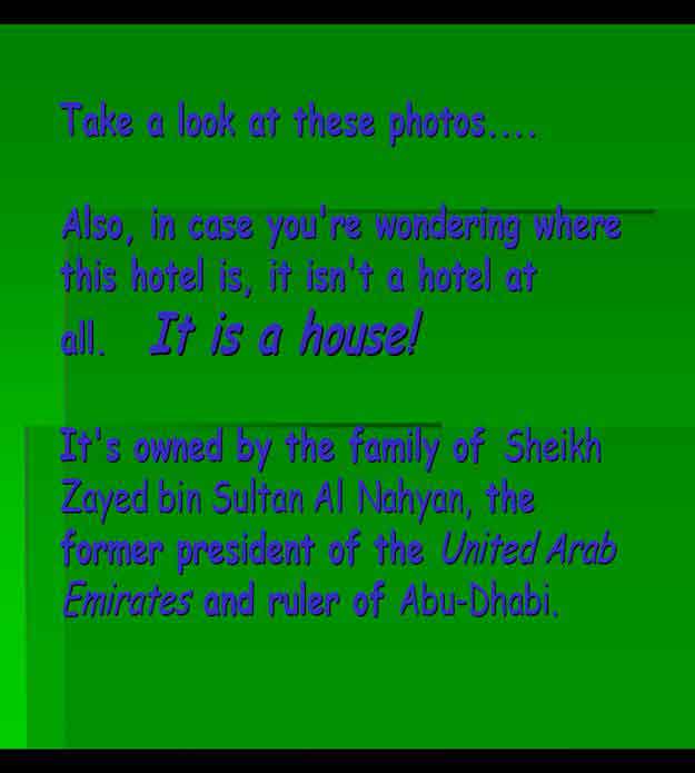 My Image 35