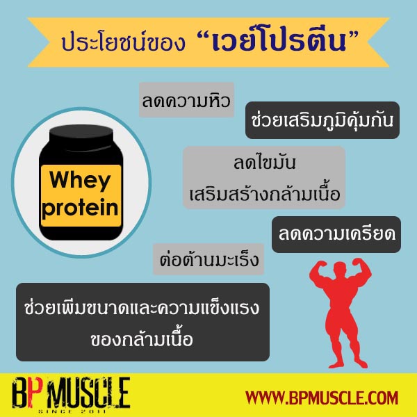 whey protein ข้อเสีย