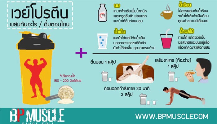 โปรตีนเสริม