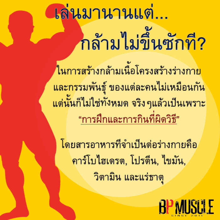 My Image 43