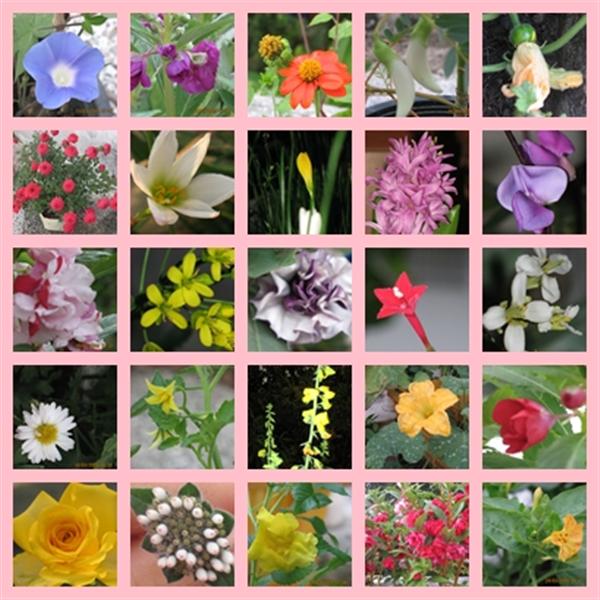 My Image 72