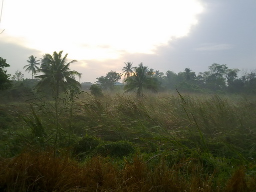 Bloggang.com : สมาชิกหมายเลข : เกษตร กะจิดริด