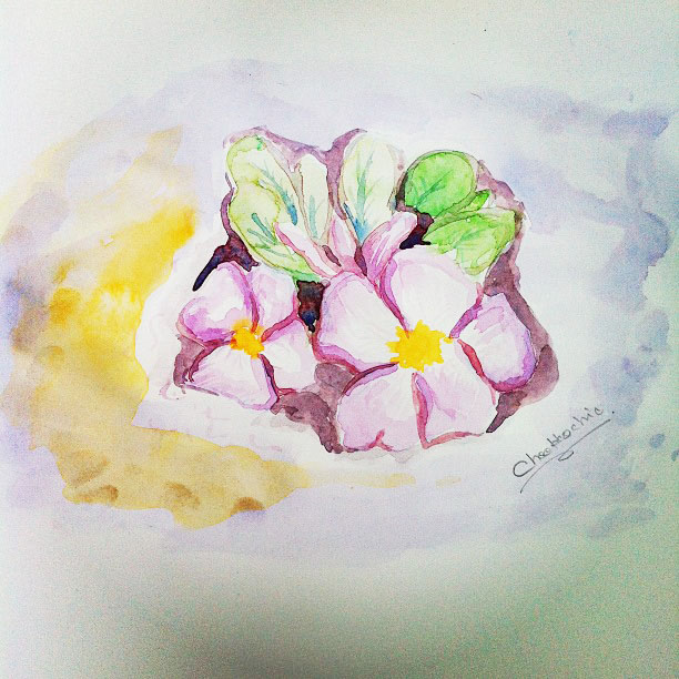 My Image 16
