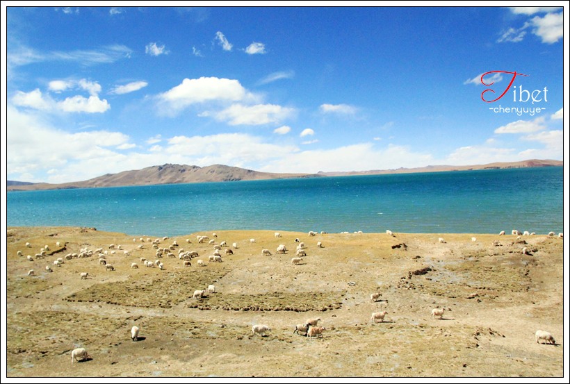 Tibet