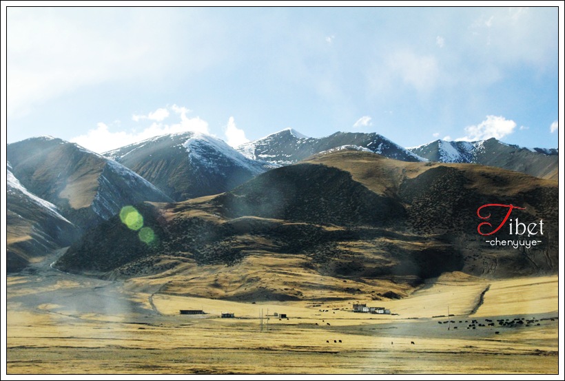 Tibet