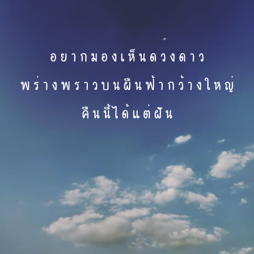 My Image 29
