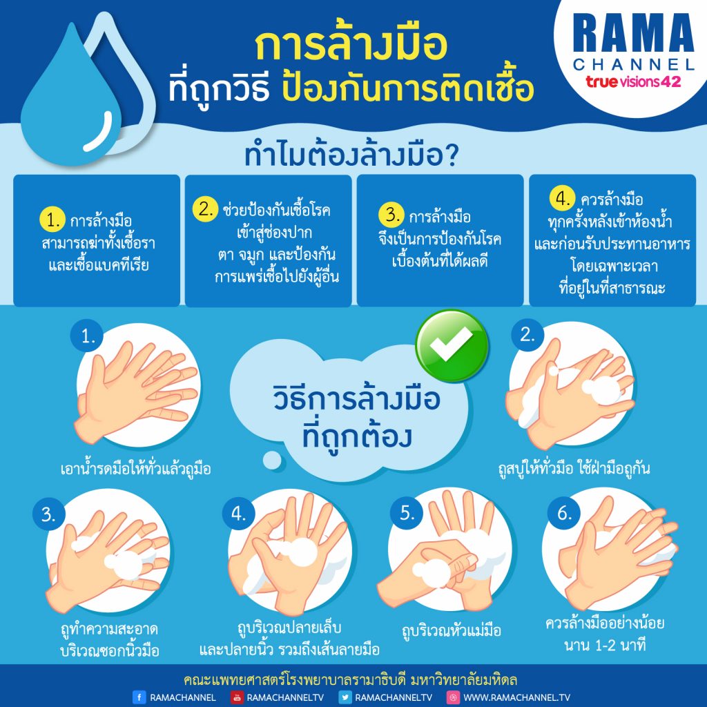โปรตีนชง