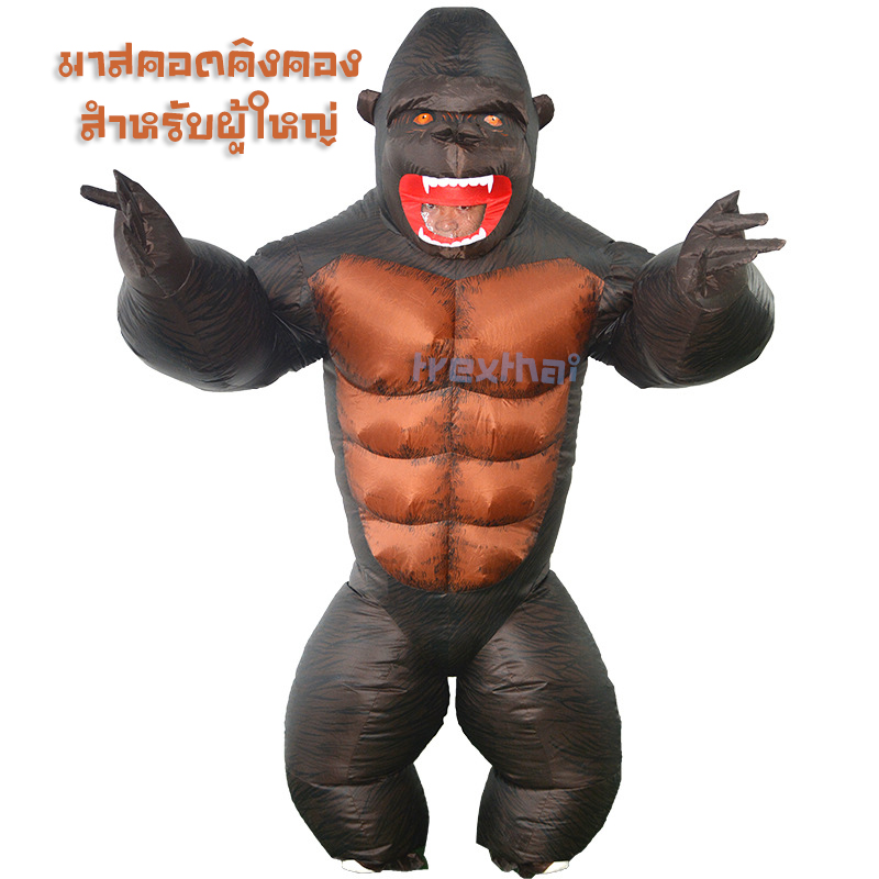 ชุดไดโนเสาร์