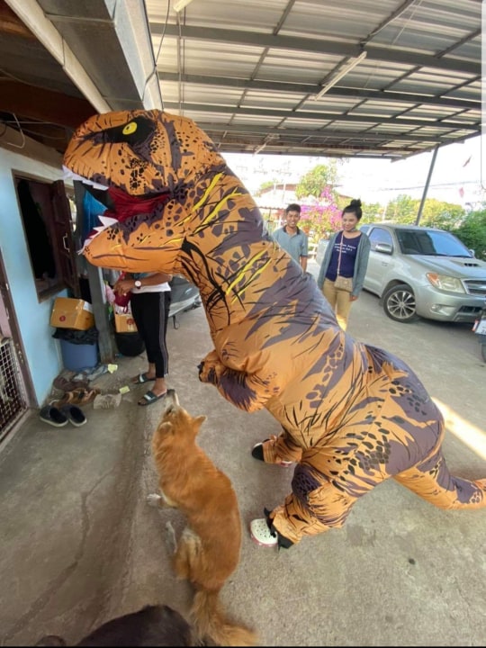 ชุดไดโนเสาร์