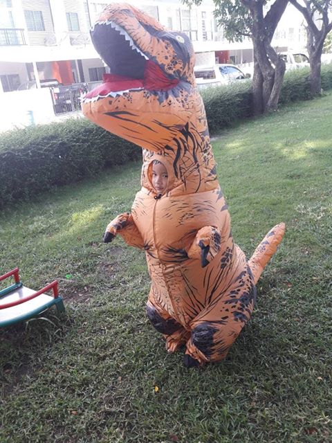 ชุดไดโนเสาร์