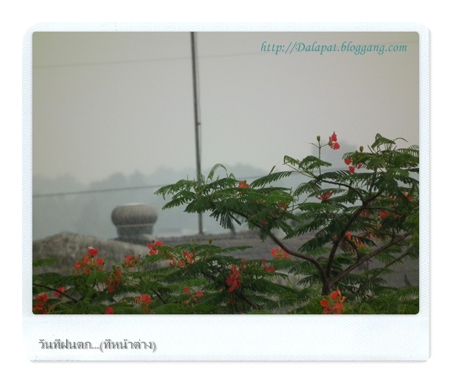 My Image 2