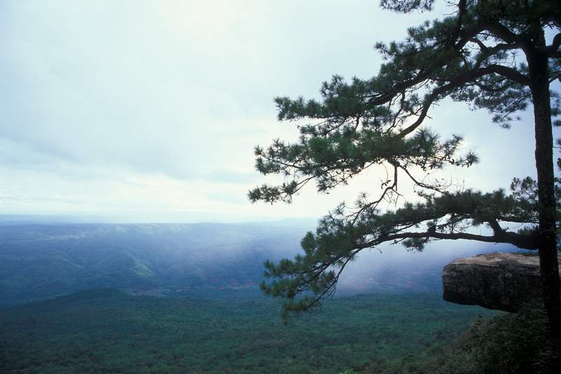 Pha Lom Sak Phu Kradueng National Park Loei Thailand