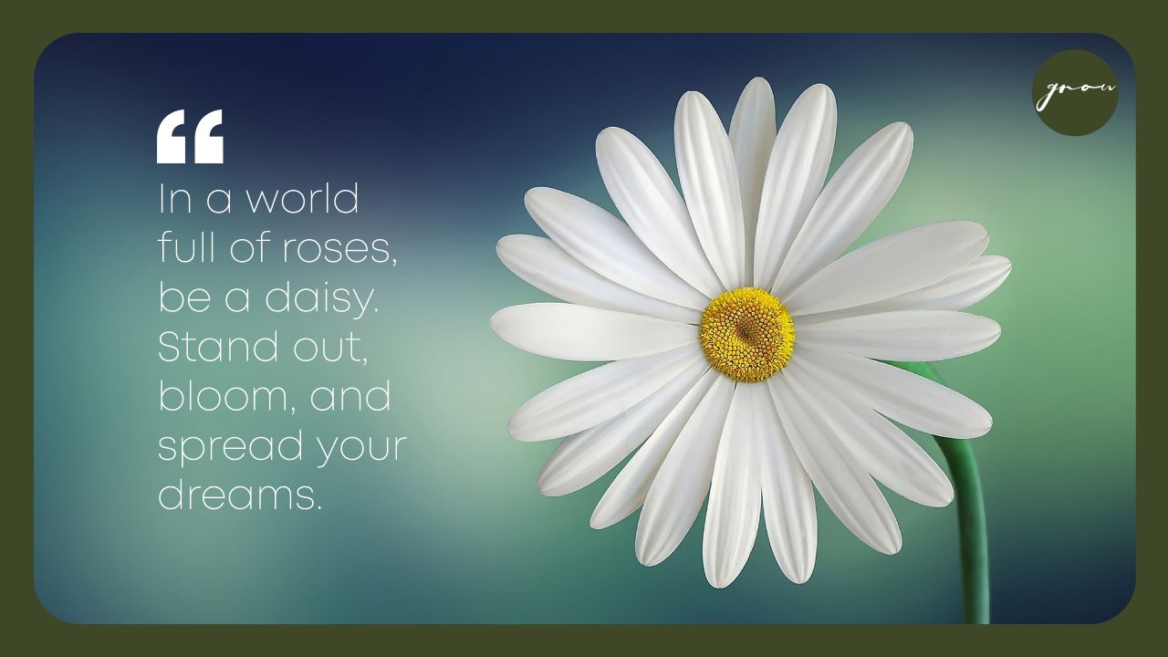 In a world full of roses, be a daisy. Stand out, bloom, and spread your dreams