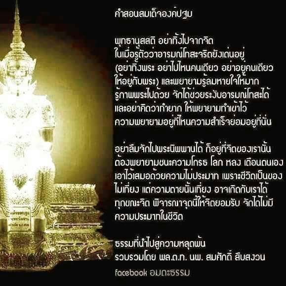 My Image 28