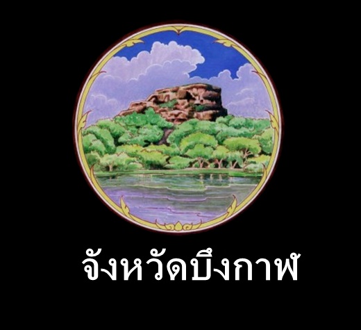 My Image 47