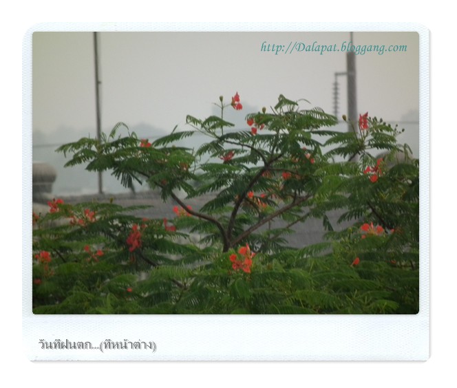 รวมกัน 93+ ภาพ วันที่ฝนตกลงที่หน้าต่าง ครบถ้วน