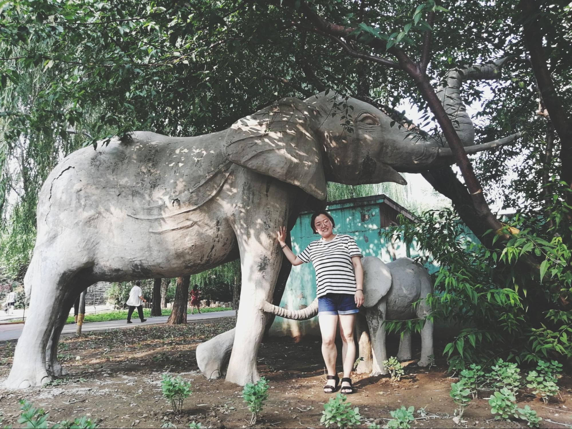 Javascript Elephant Ethical Elephant Sanctuary Phuket, Comprehensive Overview