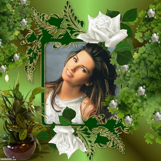 My Image 7