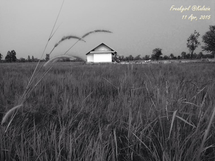 บ้าน1