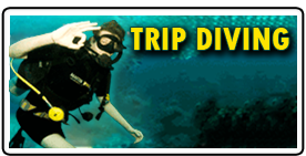scuba-similan