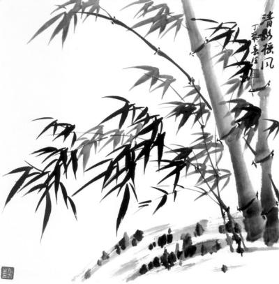 My Image 61