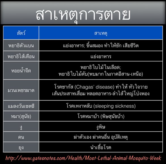 My Image 33