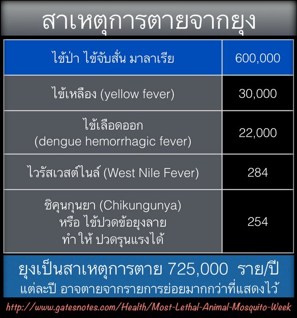 My Image 31