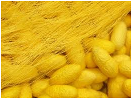 Bloggang.com : : อรพรรณindy : ผ้าใหมไทย Bloggang.Com : : อรพรรณIndy : ผ้าใหมไทย