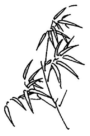 My Image 15