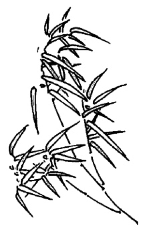 My Image 72