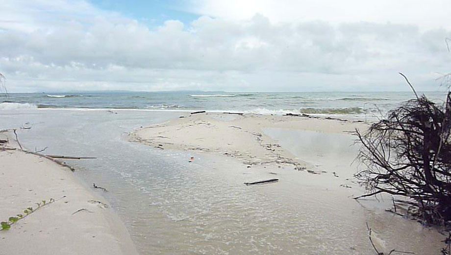 bloggang-5-5