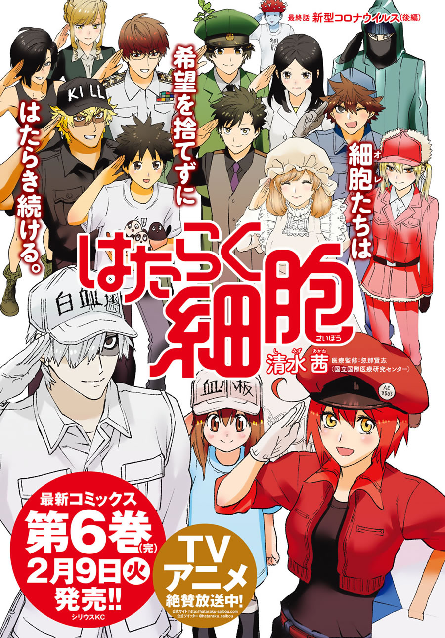 Hataraku saibou WHITE 3 Japanese comic manga anime Cells at Work! Tetsuji  Kanie