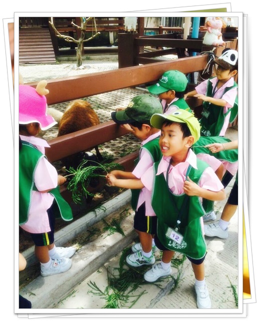 My Image 11