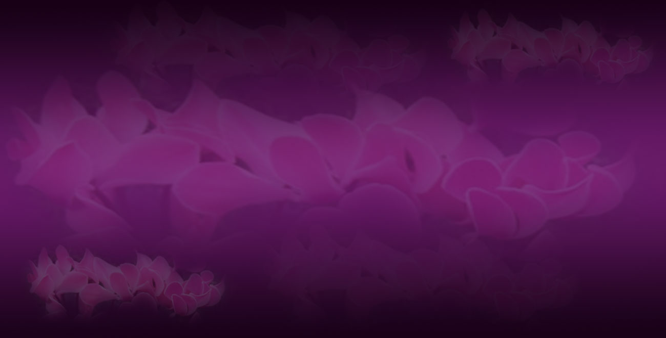 ###BG(พื้นหลัง)ชุดที่ 6 ทำเอง...ใช้เอง